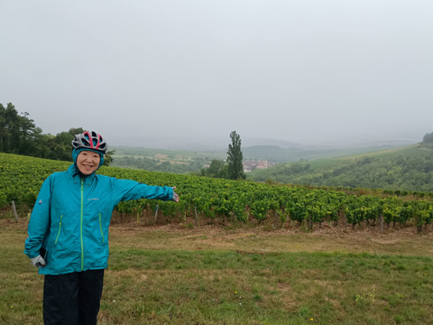 ビューポイントよりイランシーを望む