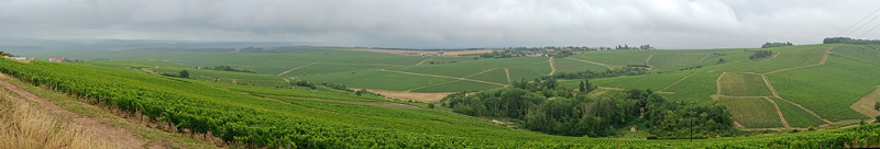 シャブリ展望所からシャブリ方面を望む