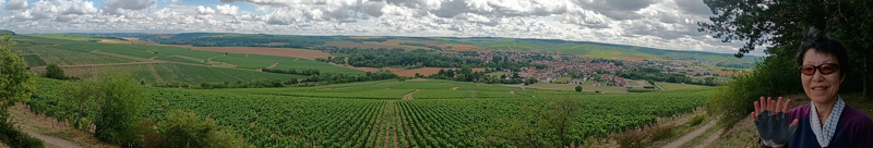 展望台よりシャブリの街とグラン・クリュ畑をを望む