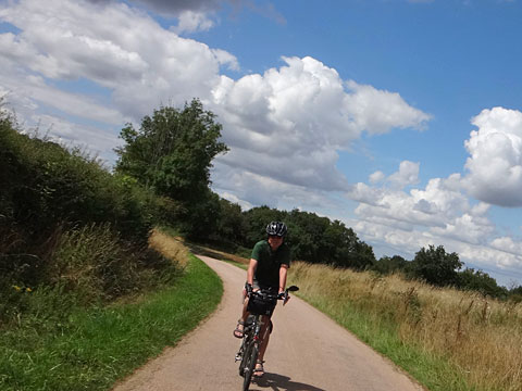 疾走するサイダー