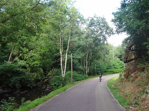 右岸側の舗装路