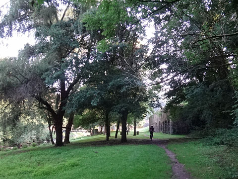 川岸の芝生を進む