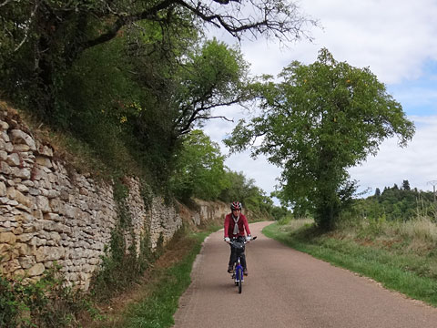 ローカルな道を行く