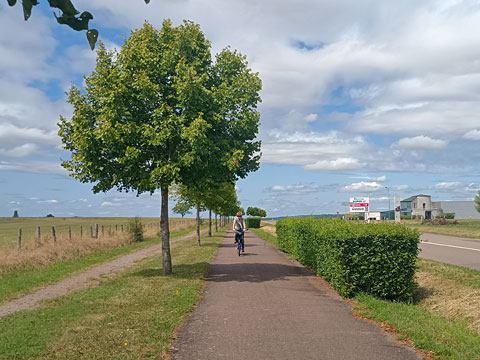 幹線道路の自転車道