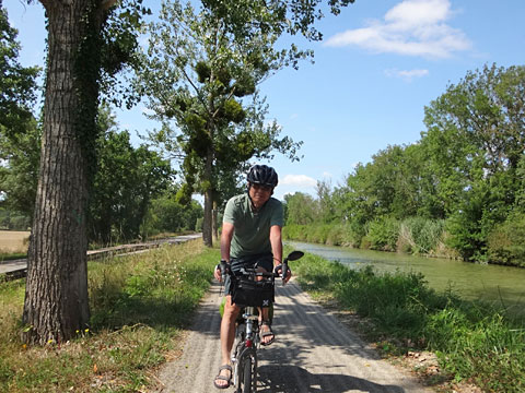 サイクリングロードの木陰