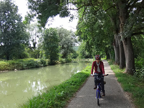 走り続けるサリーナ