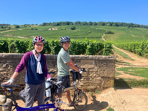 ロマネ・コンティのブドウ畑