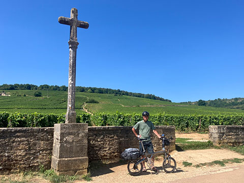 ロマネ・コンティのグラン・クリュ畑