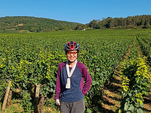 ブドウ畑のサリーナ