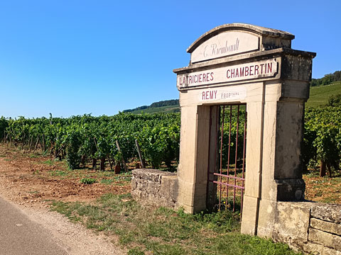 ラトリシエール・シャンベルタン