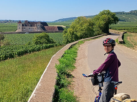 畑の中のシャトー