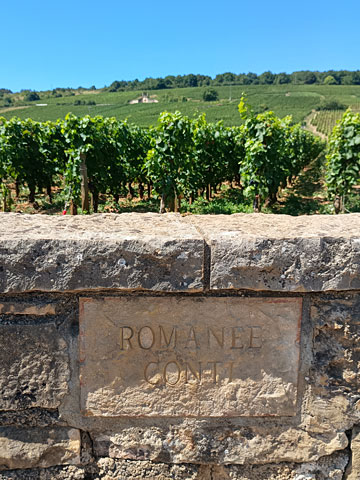 ロマネ・コンティの石板