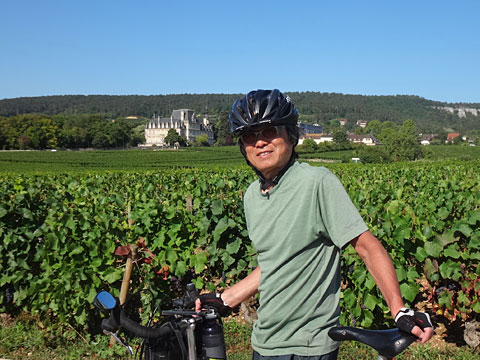 ブドウ畑の上のシャトー