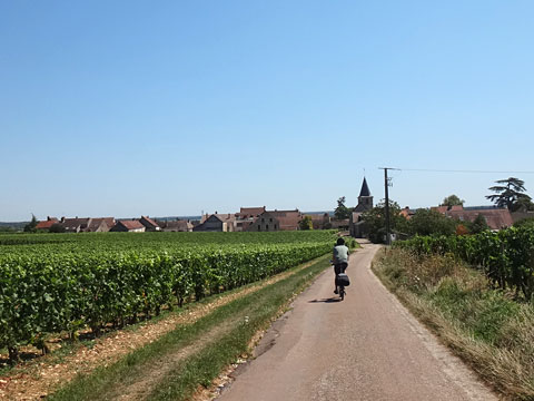 ヴォーヌ・ロマネ村へ下る