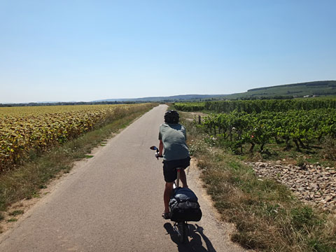 コルゴロアンの先