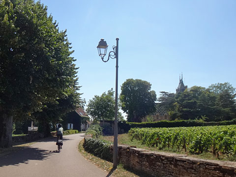 アロース・コルトン