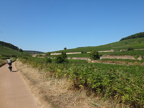 道の両側に斜面が広がる