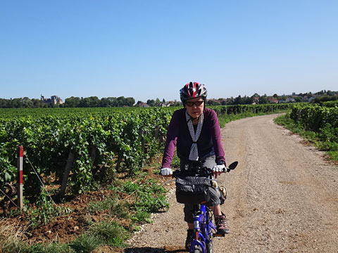 コート・ド・ニュイを走る