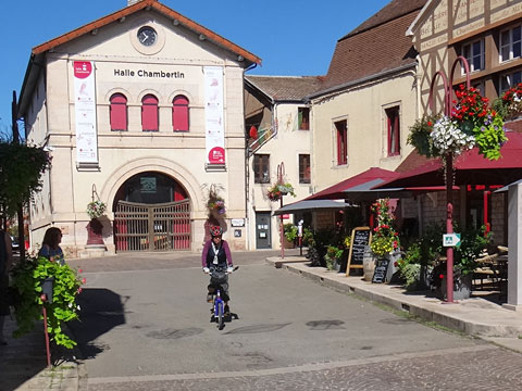 ジュヴレ＝シャンベルタン