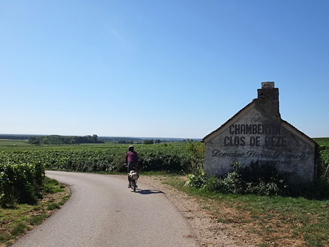 シャンベルタン・クロ・ド・ベーズ