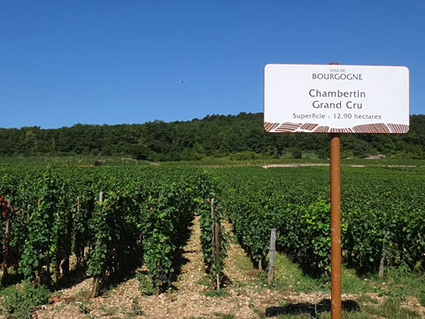 シャンベルタン