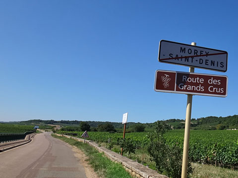 グラン・クリュ街道は続く