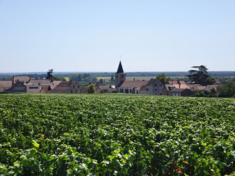 ヴォーヌ・ロマネが見えた