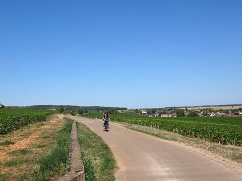 ラドワ・セリニーを通過