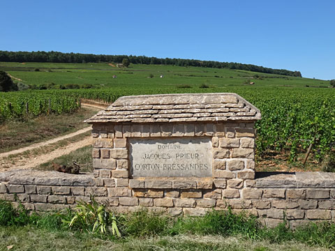 ワイナリーとワインを示す石板