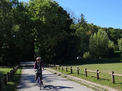 シャトーに至る道を通る