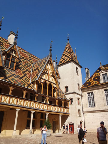 中庭から北西を見る