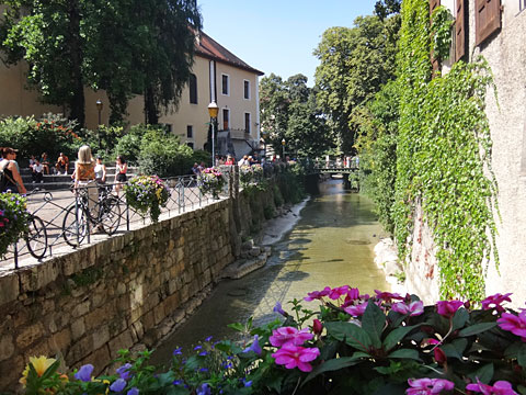 運河を飾る花々
