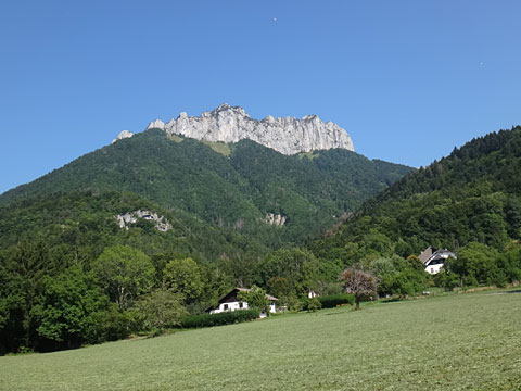 山と牧草地の景色