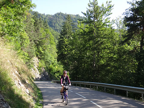 木立の中を下る