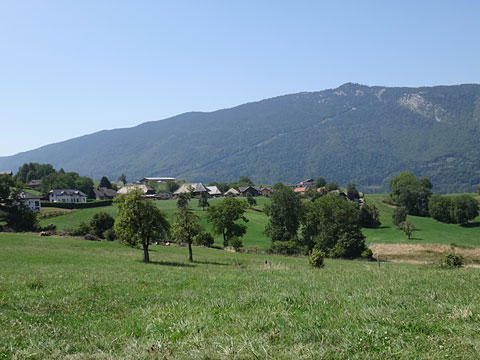 山の牧草地を行く