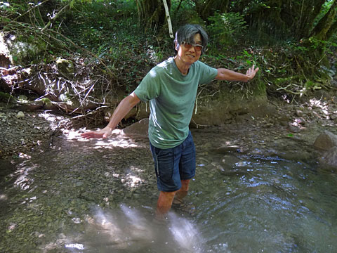 川に入るサイダー