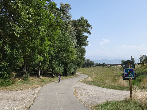 自転車道に入る