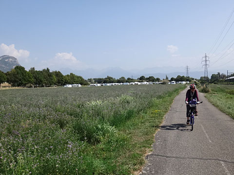 西日を浴びて走る