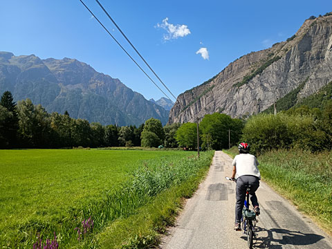 牧草地と山の景色