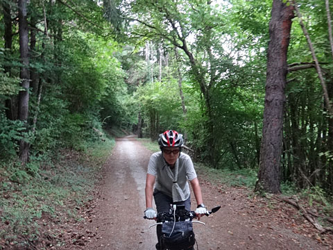 脇道の林を抜ける