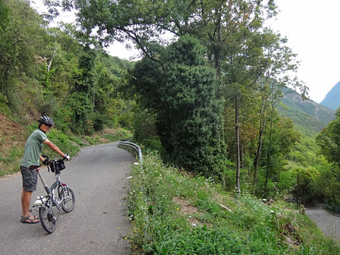 立ち止まるサイダー