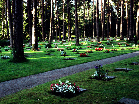ひっそりとした森の墓地
