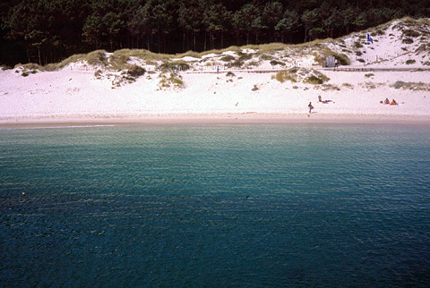 シエス島：白い所は砂浜、その後ろの黒いところは森　幻想的な世界が広がる